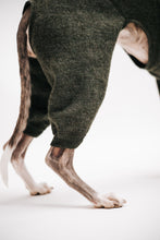 Load image into Gallery viewer, Whippet Jumpsuit in 100 % wool
