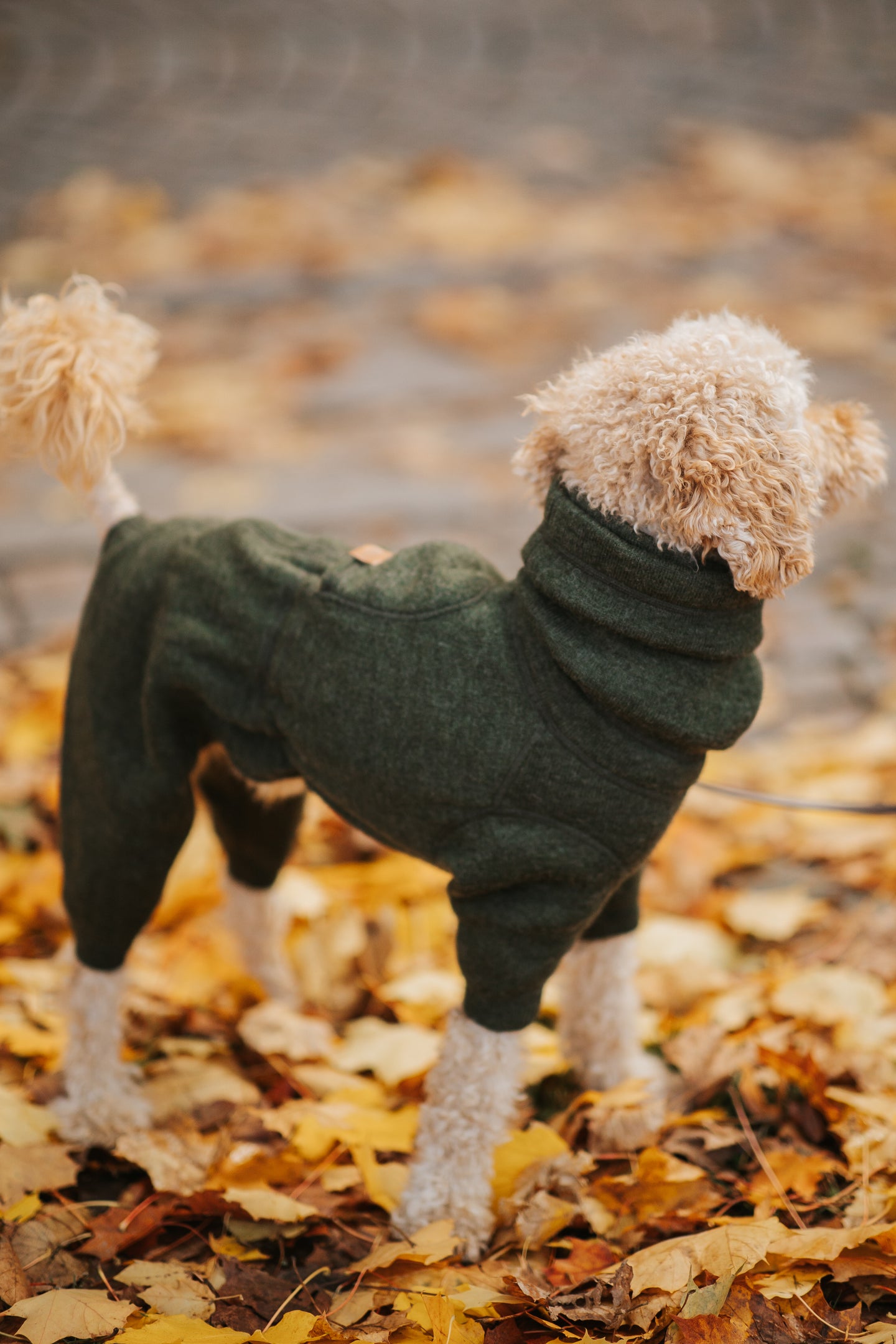 Rhodesian Ridgeback Wool Overall