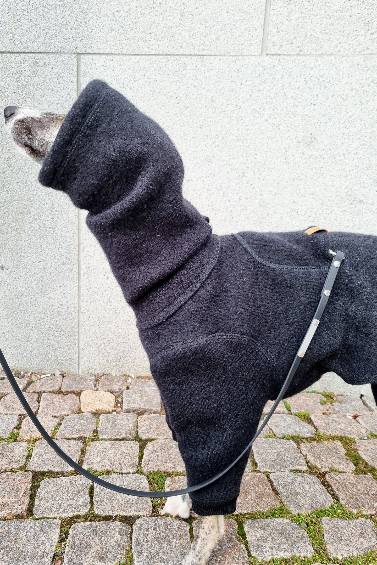 A whippet wearing a black wool onesie. The dog is facing the side and the front half of her body is showing. 